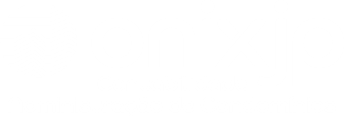 LOGO ONIX JP